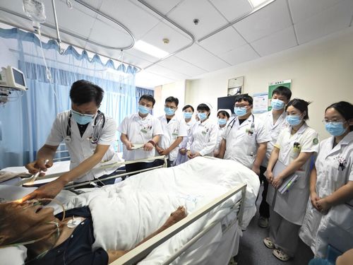 腦病科 神經內科