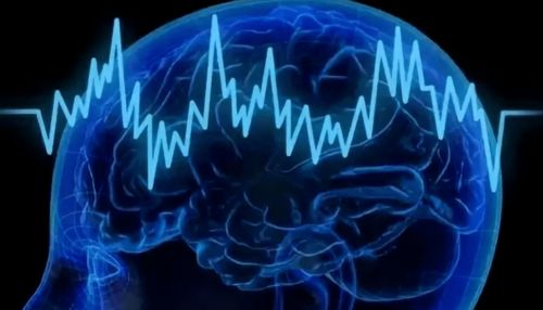 縣人民醫院神經內科腦電圖 肌電圖檢查指南