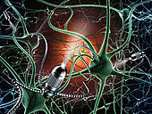 神經(jīng)科_神經(jīng)科圖片