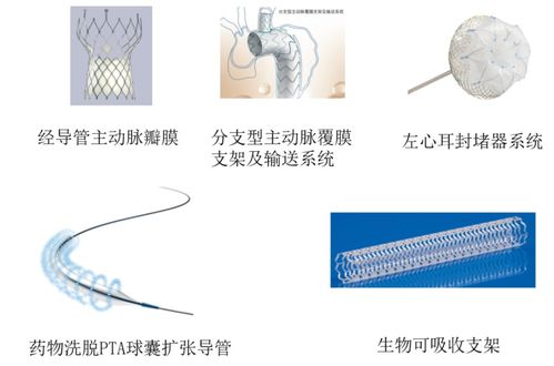獨家解讀 我國上市創新醫療器械產品在神經內科的應用與發展