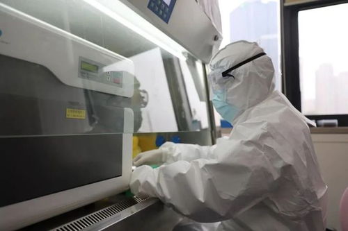 同擔風雨，核酸檢測助力疫情防控——神經內科視角